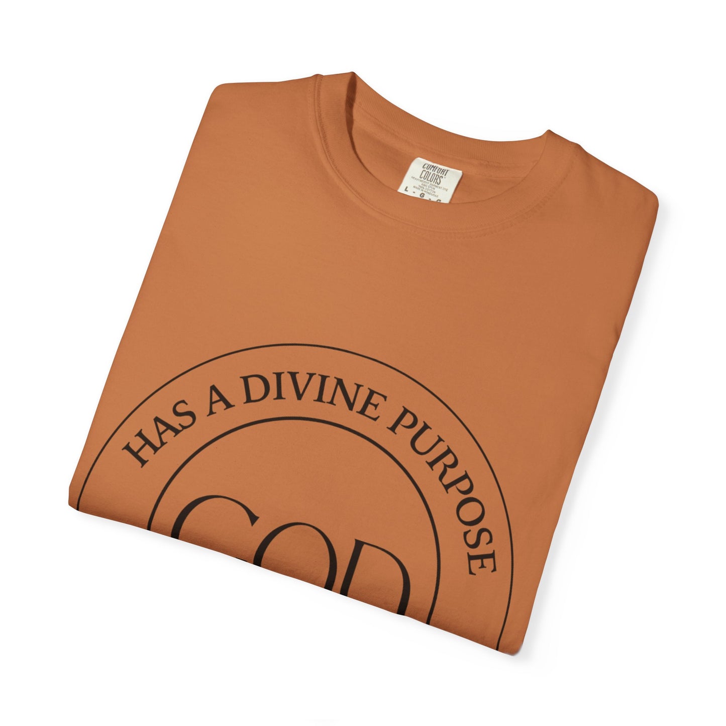 Divine Purpose Message, Faith Apparel, Christian Gift, Motivational Wear,