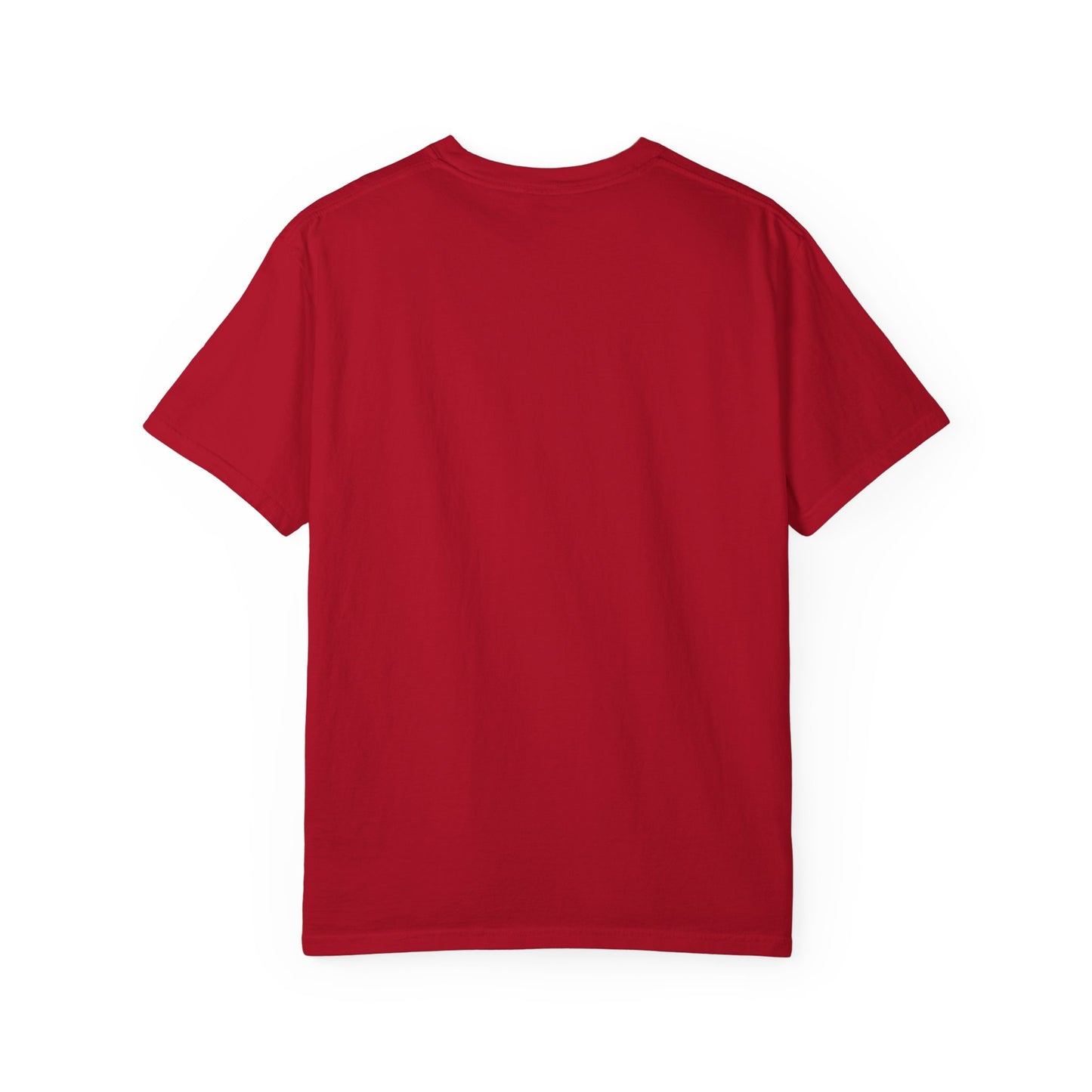 Divine Purpose Christian Shirts for Men, Christian Tshirts