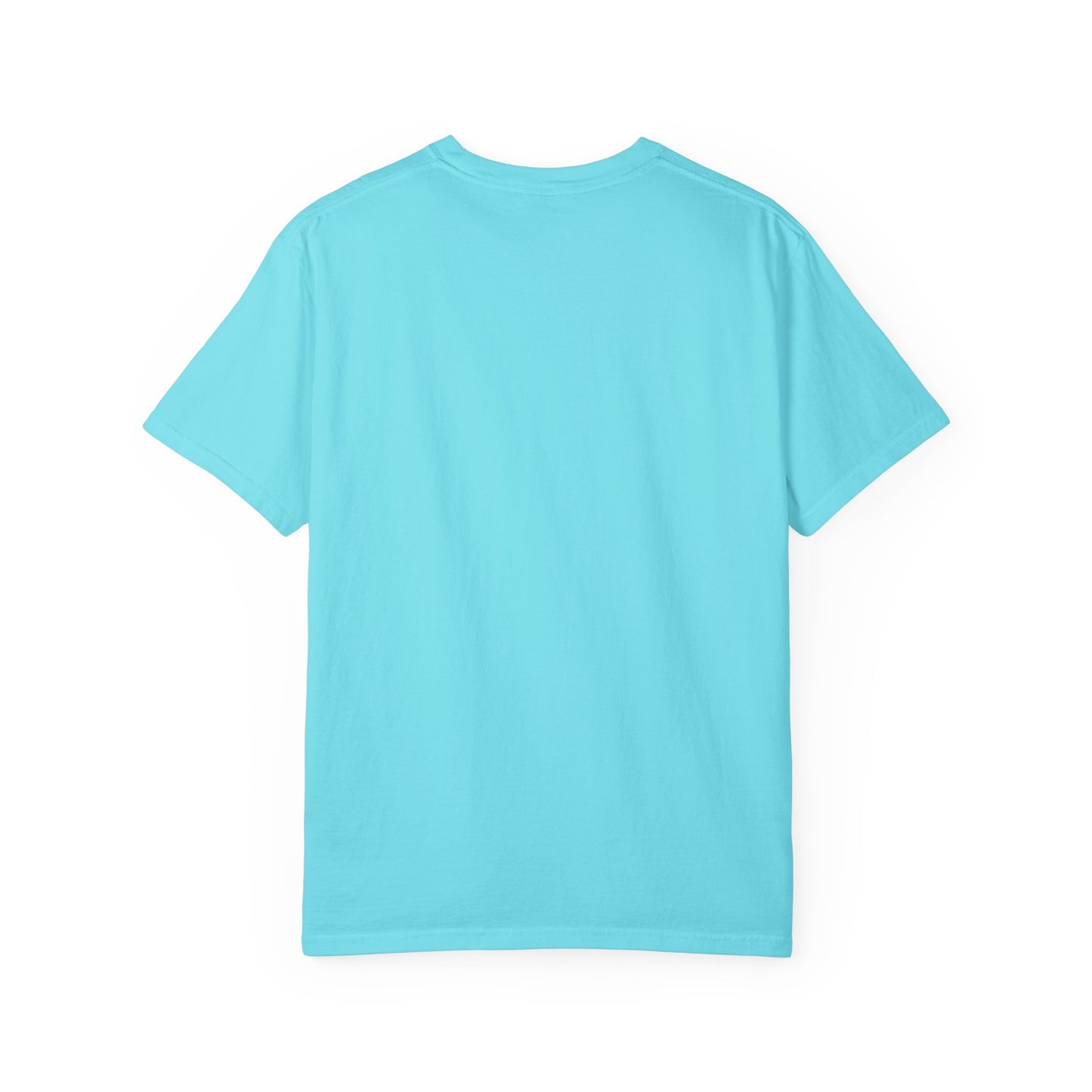 Divine Purpose Christian Shirts for Men, Christian Tshirts