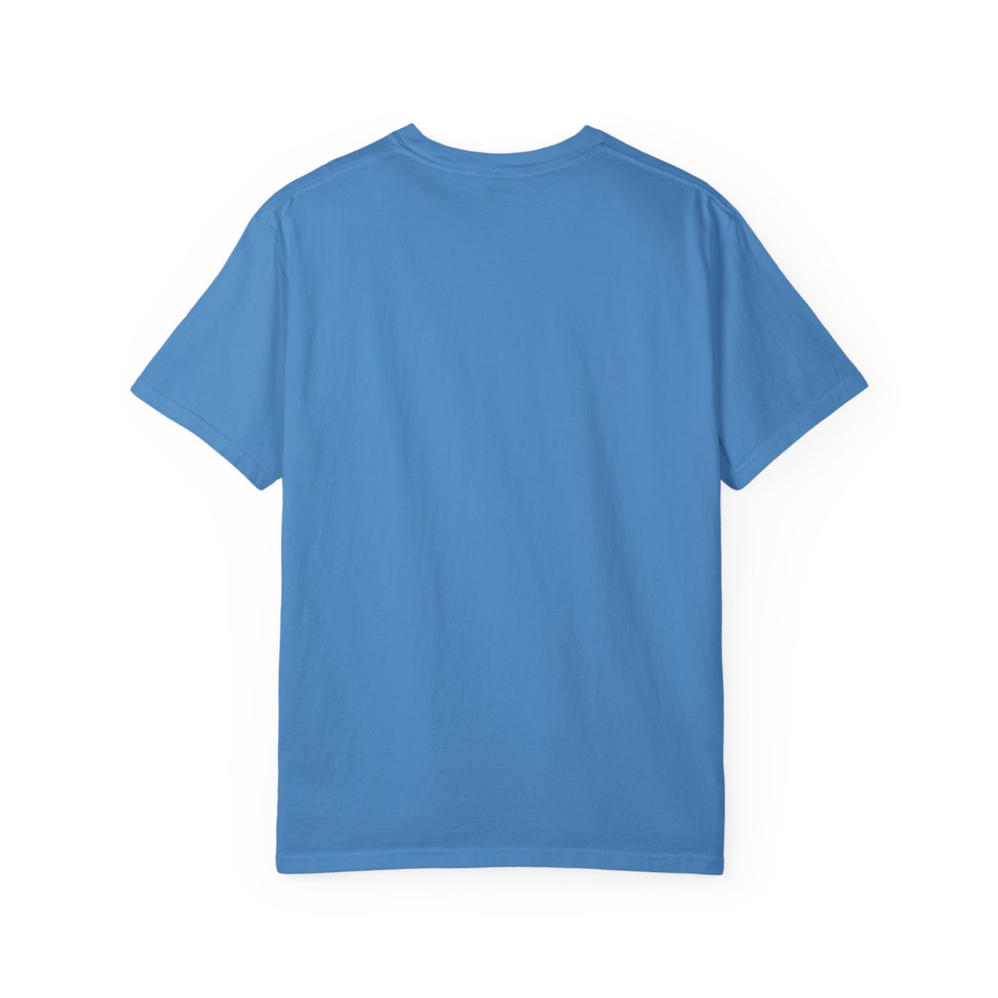 Divine Purpose Christian Shirts for Men, Christian Tshirts