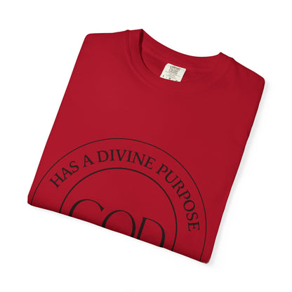 Divine Purpose Christian Shirts for Men, Christian Tshirts