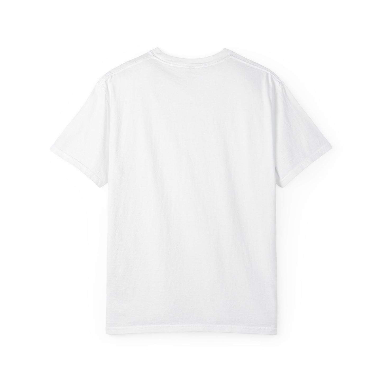 Divine Purpose Christian Shirts for Men, Christian Tshirts