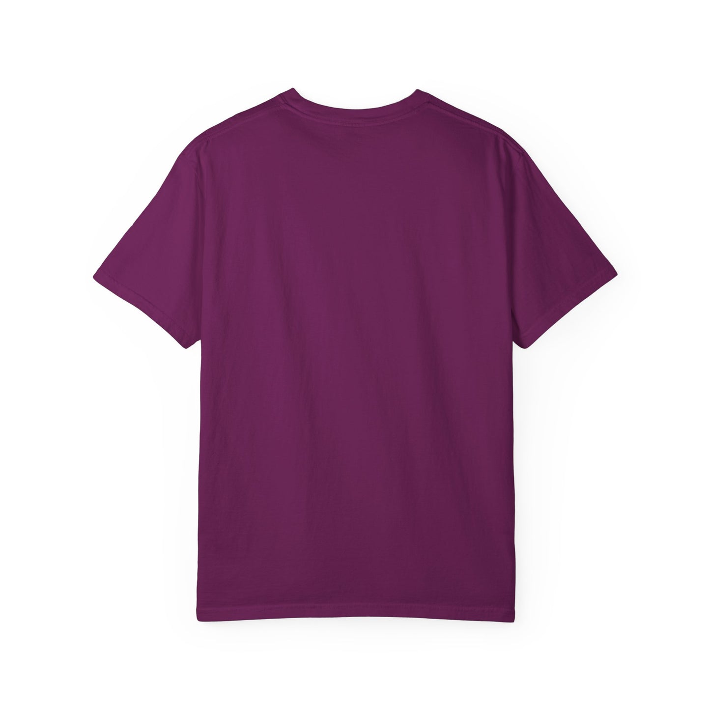 Divine Purpose Christian Shirts for Men, Christian Tshirts